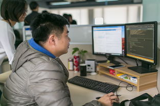 做精軟件外包，浙江服貿企業用質量征服國際市場